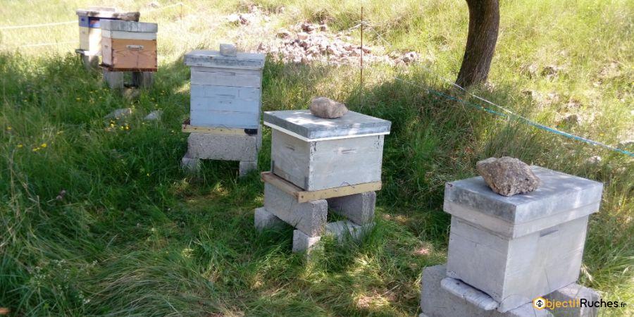 Rucher d'apiculteur amateur en Ardèche