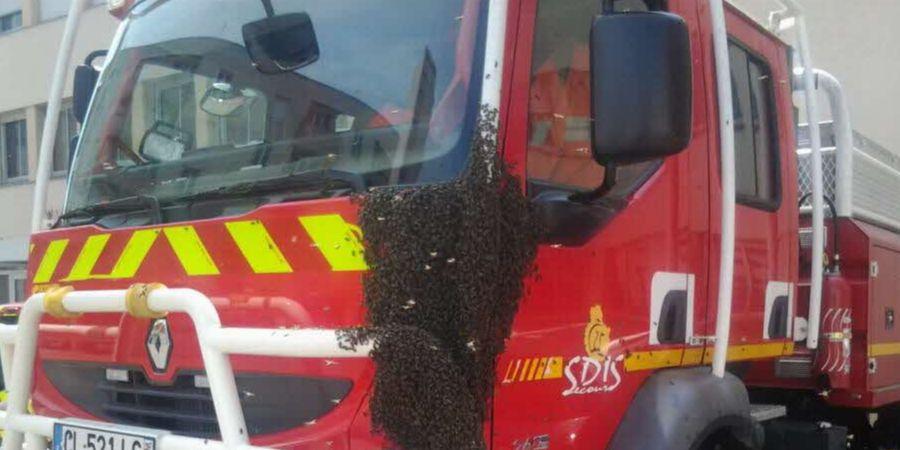 Un essaim à la caserne des pompiers