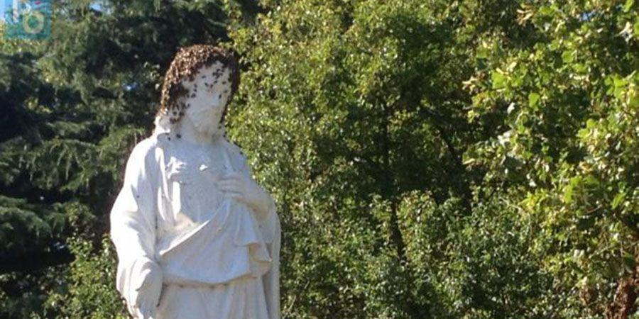 Des abeilles essaiment et couvre une statue